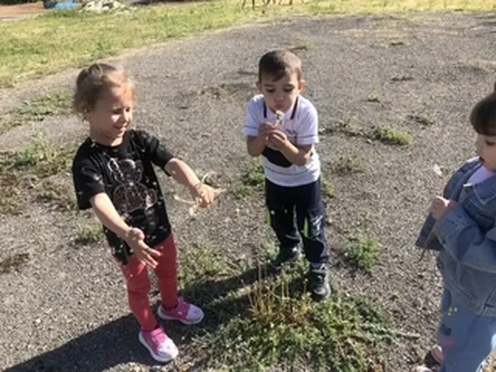 аа