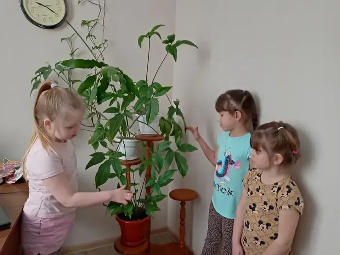 image-23-03-26-01-32-3